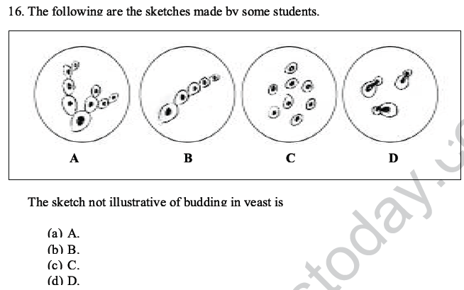 CBSE Class 10 Science MCQs Set 5, Multiple Choice Questions